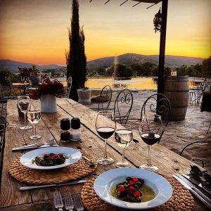 Karnas Vineyard