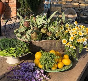 Cooking Classes Bodrum
