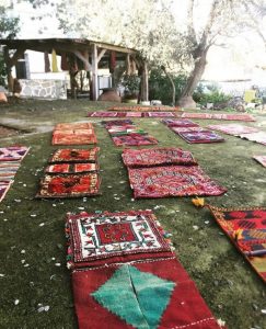 Etrim Carpet